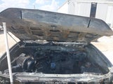 Toyota Tacoma Sr5 V6 5TFAZ5CN4GX017285 photo