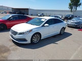 Hyundai Sonata Sport 5NPE34AF5HH550140 снимка