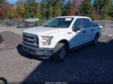 Ford F-150 Xlt 1FTEW1EF6HFB59900 снимка