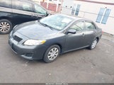 Toyota Corolla Le 2T1BU4EE3AC220412 fotografie