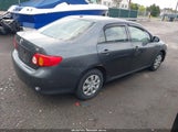Toyota Corolla Le 2T1BU4EE3AC220412 fotografie