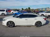 Nissan Maxima 3.5 Platinum/3.5 S/3.5 Sl/3.5 Sr/3.5 Sv 1N4AA6AP7HC434383 fotografie