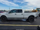 Ford F-150 Fx4/Harley-Davidson/King Ranch/Lariat/Platinum/Xl/Xlt 1FTFW1EV2AKE76520 photo