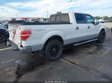 Ford F-150 Fx4/Harley-Davidson/King Ranch/Lariat/Platinum/Xl/Xlt 1FTFW1EV2AKE76520 photo