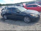Honda Accord Sdn 2.4 Ex-L/Ex-L 1HGCP2F85CA217948 photo