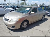 Toyota Corolla Le 2T1BU4EE7AC510183 снимка