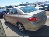Toyota Corolla Le 2T1BU4EE7AC510183 снимка