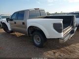 Ford F-150 Lariat/Xlt 1FTPW12596KD90928 fotografie