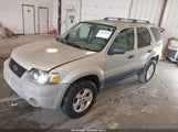 Ford Escape Xlt/Xlt Sport 1FMYU03106KB20417 fotografie