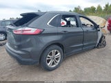 Ford Edge Sel 2FMPK4J99LBA49175 fotografie