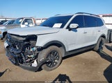Kia Telluride Sx Prestige X-Pro 5XYP5DGC0RG453467 photo