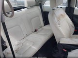 Volkswagen New Beetle Black Tie Edition/Triple White 3VWFG31CX8M522916 fotografie