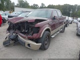 Ford F-150 Fx4/Harley-Davidson/King Ranch/Lariat/Platinum/Xl/Xlt 1FTFW1EV5AFD48782 fotografie