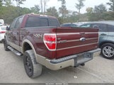 Ford F-150 Fx4/Harley-Davidson/King Ranch/Lariat/Platinum/Xl/Xlt 1FTFW1EV5AFD48782 photo
