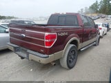 Ford F-150 Fx4/Harley-Davidson/King Ranch/Lariat/Platinum/Xl/Xlt 1FTFW1EV5AFD48782 fotografie