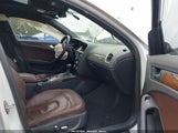 Audi A4 2.0T Premium WAUBFAFL9GN001172 снимка