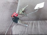 Miniaturka zdjęcia 11