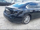 Nissan Maxima 3.5 Sv W/Premium Pkg 1N4AA51E99C855225 снимка