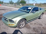 Ford Mustang V6 1ZVFT80N965135210 снимка