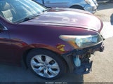 Honda Accord 2.4 Ex-L 1HGCP2F84AA161384 снимка