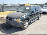Ford Escape Xlt 1FMYU03123KA91336 снимка