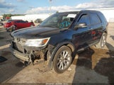 Miniaturka zdjęcia 2