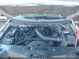 Ford F-150 Fx4/Lariat/Xlt 1FTPW14516FA54194 снимка