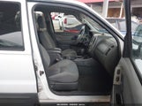 Ford Escape Xlt 1FMYU93135KC05044 снимка