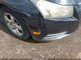 Miniaturka zdjęcia 6