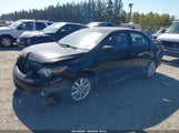 Toyota Corolla S 2T1BU4EE3AC452542 снимка
