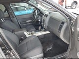 Ford Escape Xlt 1FMCU0DG8BKB10676 fotografie