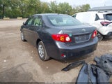 Toyota Corolla Le 2T1BU4EE3AC282179 снимка