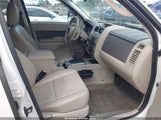 Ford Escape Xlt 1FMCU0D71AKD08109 снимка