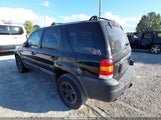 Ford Escape Xlt/Xlt Sport 1FMYU03137KB88048 photo