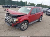 Ford Escape Xlt 1FMCU9DG3BKB00965 fotografie