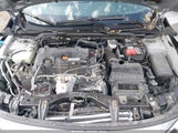 Honda Civic Lx 2HGFC2F5XHH555935 снимка