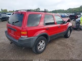 Ford Escape Xlt 1FMYU04162KC47701 снимка