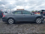Honda Accord 2.4 Ex-L 1HGCP2F87AA161766 снимка