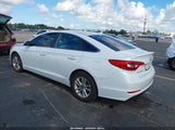 Hyundai Sonata 5NPE24AF0HH516156 снимка