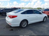 Hyundai Sonata 5NPE24AF0HH516156 снимка