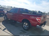 Ford F-150 Xlt 1FTEX1EM9DFC93399 снимка