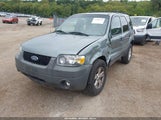 Ford Escape Xlt 1FMYU03Z85KB50768 снимка