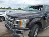 Ford F-150 Xlt 1FTEW1EP5LFB50347 снимка