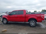 Ford F-150 Lariat 1FTFW1EF4BKD35202 снимка