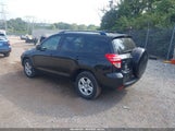 Toyota Rav4 JTMBF33V195016529 снимка