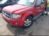 Ford Escape Xlt 1FMCU03188KE82508 снимка