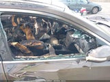 Nissan Maxima 3.5 Sv 1N4AA5AP6CC847527 снимка