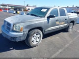 Dodge Dakota Slt 1D7HE48N75S275748 снимка