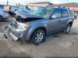 Ford Escape Limited 1FMCU04198KD99281 снимка