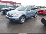 Honda Cr-V Ex-L 5J6RE48739L047627 fotografie